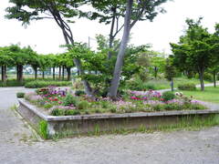 写真:南栗橋を美しくする会 (南栗橋近隣公園)