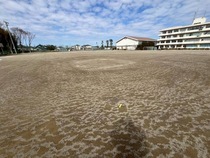 屋外運動場の写真