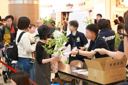 ブルーベリー苗木配布の様子