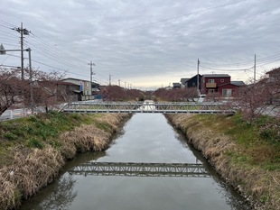 鷲宮浄水場付近の写真1