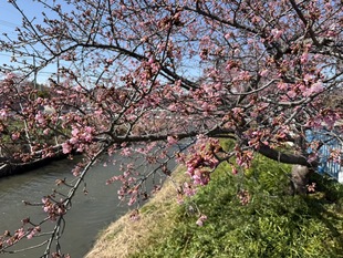 鷲宮浄水場付近の写真2