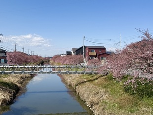 鷲宮浄水場付近の写真1