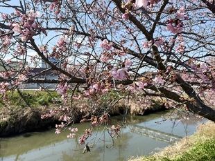 鷲宮浄水場付近の写真2