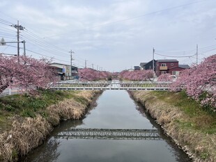 鷲宮浄水場付近の写真1