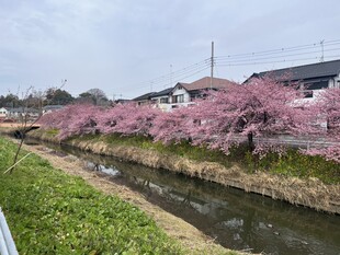 鷲宮神社付近の写真1