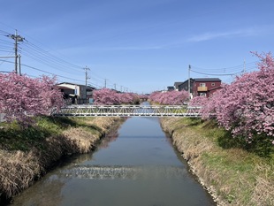 鷲宮浄水場付近の写真1