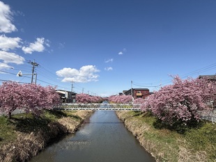 鷲宮浄水場付近の写真1