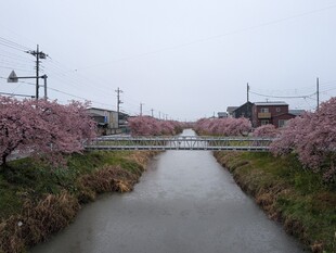 鷲宮浄水場付近の写真1