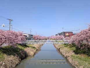 鷲宮浄水場付近の写真1