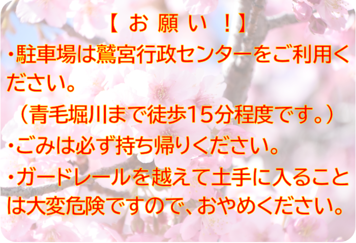 画像：河津桜観覧の際のお願い。駐車場は鷲宮行政センターをご利用ください。（青毛堀川まで徒歩15分程度です。）ごみは必ず持ち帰りください。ガードレールを越えて土手に入ることは大変危険ですので、おやめください。