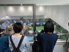 写真：学校給食センター見学の様子2