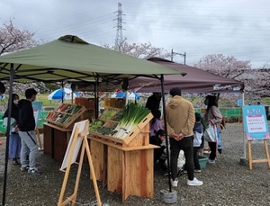 写真:出店