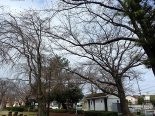 吉羽公園の写真1