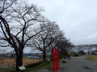 しらさぎ公園の写真1