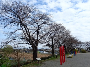 しらさぎ公園の写真1