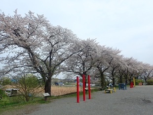 しらさぎ公園の写真1