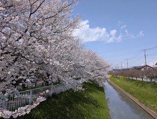 大排水路の写真1
