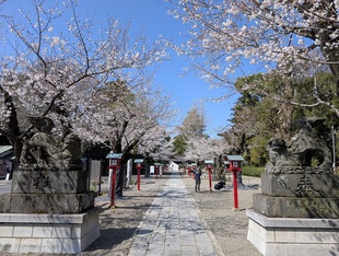鷲宮神社の写真1