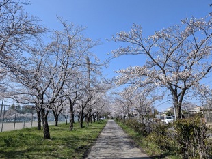 鷲宮運動公園付近の写真1