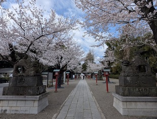 鷲宮神社の写真1