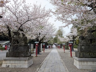 鷲宮神社の写真1