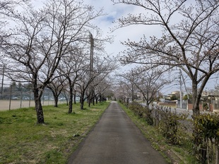鷲宮運動公園付近の写真1