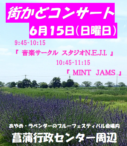 画像:街かどコンサート(ブルーフェスティバル）