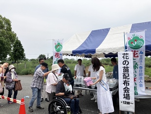 花の苗配布の写真
