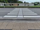 運動公園通り