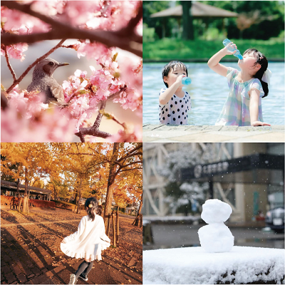 写真：kukimemo4枚