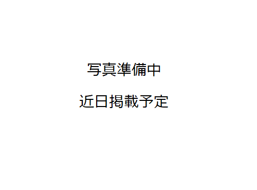 特集コーナー様子（中央図書館）