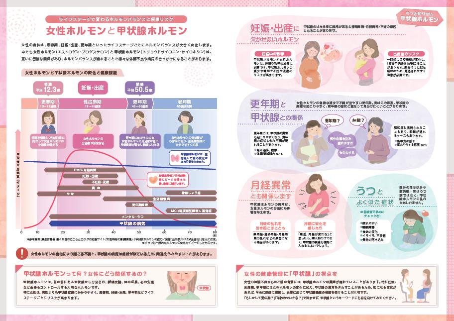 2つのホルモン2