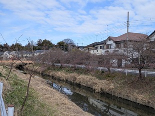鷲宮神社付近の写真1
