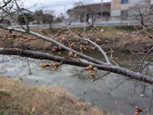 鷲宮浄水場付近の写真2