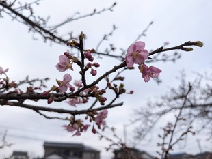 鷲宮浄水場付近の写真2
