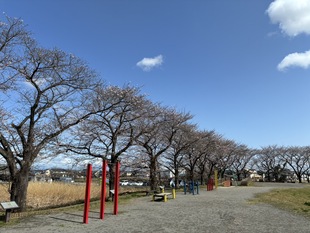 しらさぎ公園の写真1