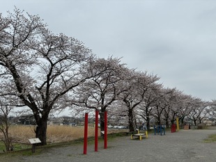 しらさぎ公園の写真1