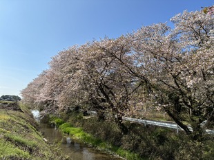 森下堤の写真1