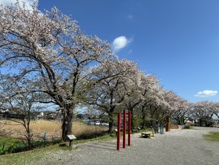 しらさぎ公園の写真1