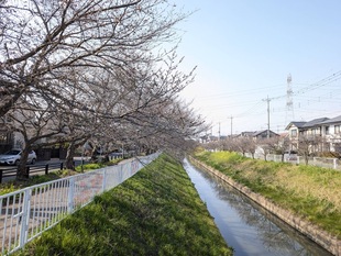 大排水路の写真1