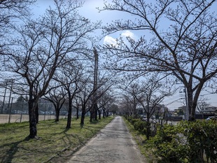 鷲宮運動公園の写真1