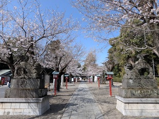 鷲宮神社の写真1
