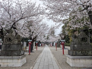 鷲宮神社の写真1