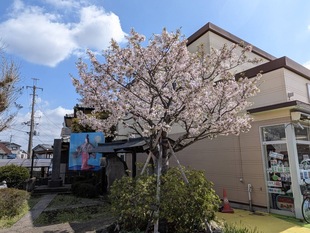 静御前墓所の写真1