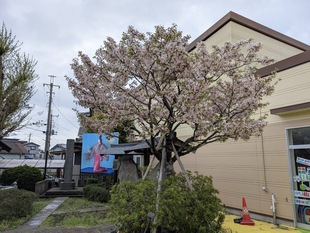 静御前墓所の写真1