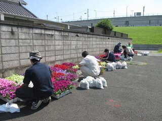 写真:「旧日光街道」花いっぱい作戦(春)1