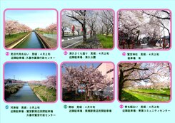 久喜市桜マップ
